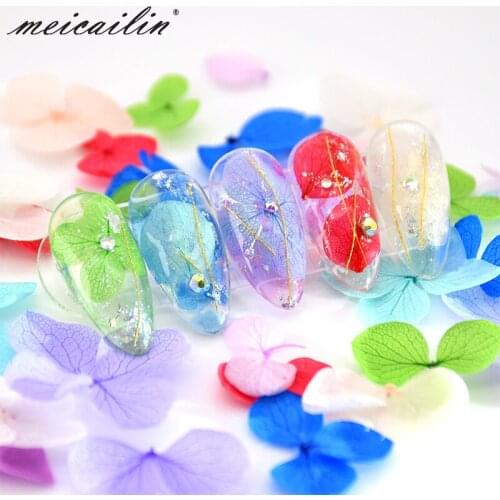 6 Colors/Set 3D Summer Dried Flowers Nail Art Mixed Natural Floral Sticker DIY UV Gel Polish Manicure Nail Art Decorations