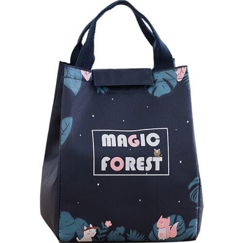 Insulated Lunch Bag Reusable Lightweight Thermal Lunch Tote Cooler Meal Prep Bag with Aluminum Foil for Outdoor Activities