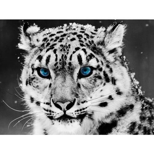 DIY 5D Full Diamond Painting Cross Stitch White tiger Mosaic Diamond Embroidery Needlework Patterns Rhinestone kits