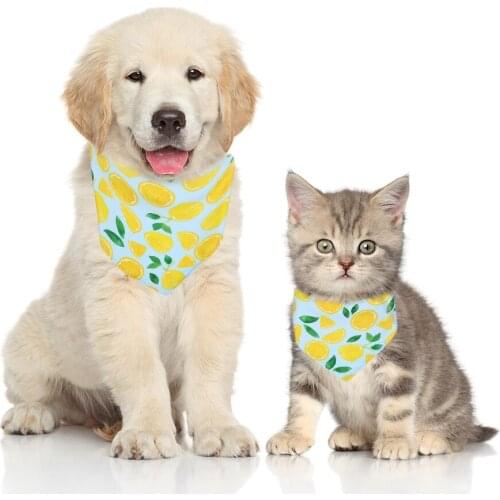 Donut Fruit Pattern Pet Saliva Towel Dog Scarf Small and Medium-sized Dog Triangle Band Pet Supplies Sweet Pastoral Style