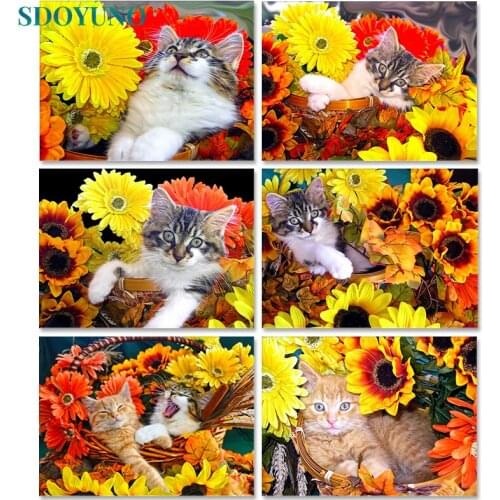 SDOYUNO Paint By Numbers On Canvas Cat And Sunflowers DIY Frame 60x75cm Oil Painting By Numbers Handpaint Animals Home Decor