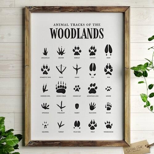 Woodland Animal Tracks Poster Canvas Art Prints Animal Tracking Footprints Canvas Painting Wall Picture Rustic Nature Decor