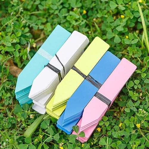 New 500pcs Plastic Plant Ground Labels 2*10cm Colorful Plant Labels Plant Signs For Distinguish Between Succulents And Flowers