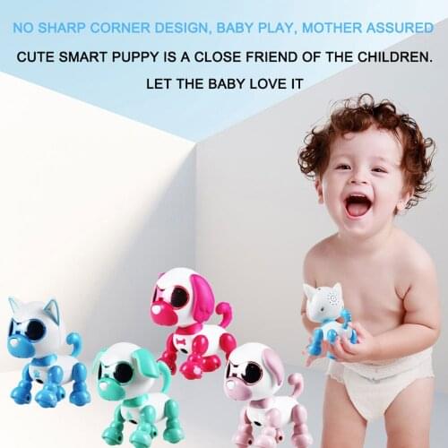 HIINST Figures With Animals