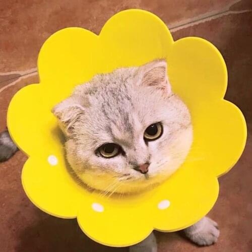 Flower Shaped Cat Recovery Collar Anti-Bite Anit-Scratch Elizabethan Collar Wound Healing Protective Cone for Kitten Puppy