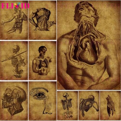 Vintage Human Anatomy Wall Art Poster And Prints Wall Pictures Medical Science Canvas Painting For Office Home Decor Unframed