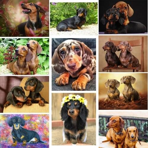 Diy 5d diamond painting Dachshund rhinestones full square drill diamond embroidery animal cute Dog cross stitch mosaic pattern
