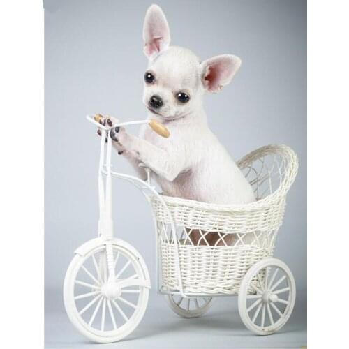 Square/Round Diamond 5D DIY Diamond Painting Chihuahua Dog Animal 3D Embroidery Beads Cross Stitch Mosaic Stickers Home Decor