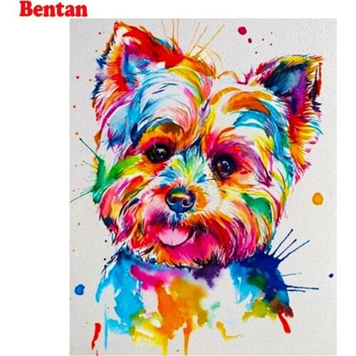 5D Diamond Painting Yorkshire Terrier Cross Stitch Kits Diy Diamond embroidery color dog Full square round Drill Home Decoration