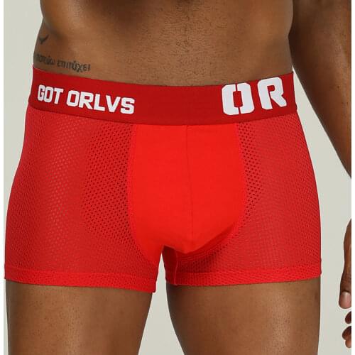 ORLVS Mesh Boxershorts Men Comforable Panties Set Gay Sexy Underwear Man Boxer4Color Free Shipping 2021Hot M/L/XL/XXL OR207