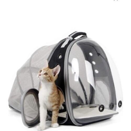 Carneil Pet Supplies