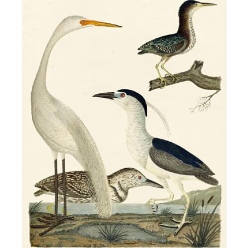 Antique Chinese Painting birds decor art picture quality canvas art craft for living room decor