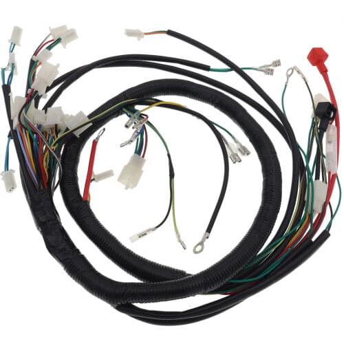 Electric Start Full Wiring Loom Harness 200cc 250cc 300cc ATV Pit Quad Bike Atomik Thumpstar Buggy Go Kart