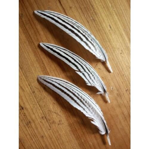 New! Batch quality 10 pc quality silver chicken feathers, 3-5inches / 8-13cm, DIY decorative handicrafts
