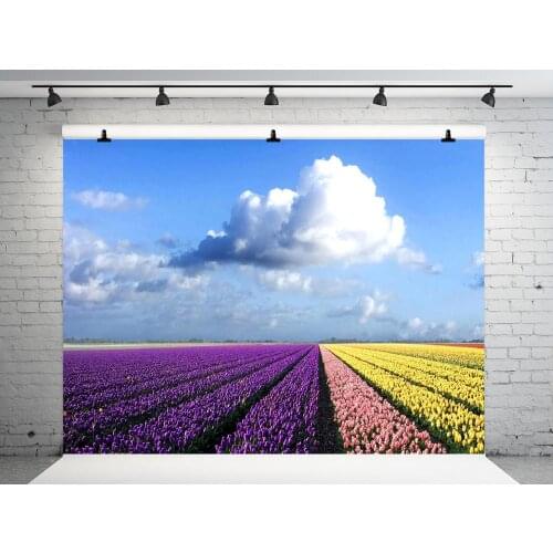 10X10FT VinylBDS Wedding Background PhotographyBlue sky White Clouds Photo Shoot Background Lavender Ocean Photo Background