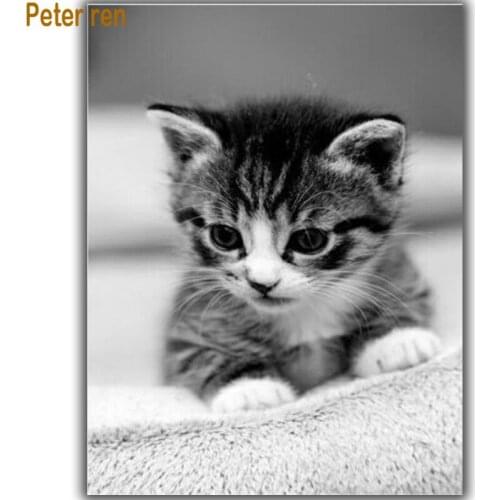 Diy Diamond painting Cross stitch Diamond embroidery Cat on the carpet square Diamond mosaic Rhinestone pasted crafts Needlework