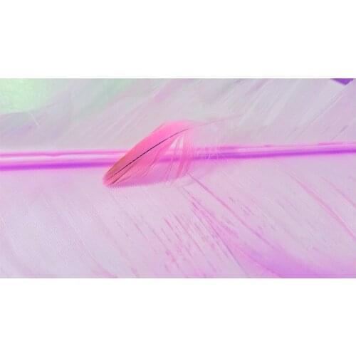 Pink and White Feathers Photography Backdrop Studio Background Photo Props