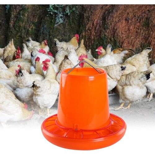 Chicken Feeder Plastic Hen Drinker 3 Kg / 6.6 Pound Capacity Food Dispenser for Birds Small Poultry Feeding Equipment