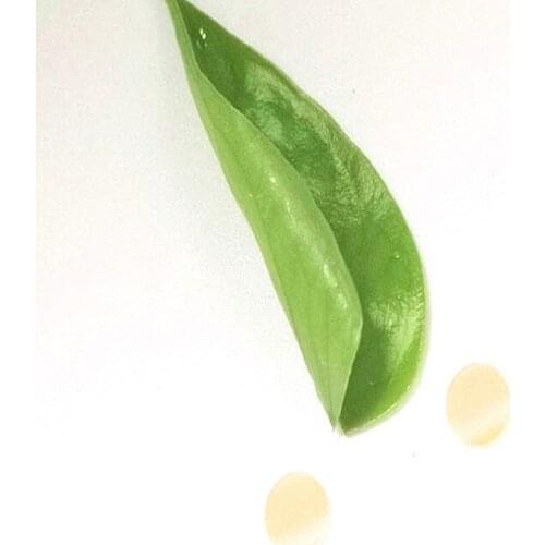 Custom Filter Spot UV Ultra Violet Filter 360 Narrow Band Filter Fluorescent Detection Filter