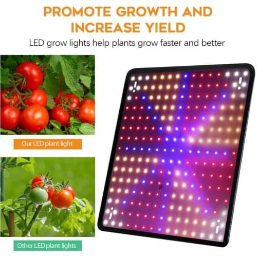 Red And Blue Grow Light Led Full Spectrum Lamp Greenhouse Grow Light Vegetable Plant Light Indoor Phyto Tent Growing Lamp