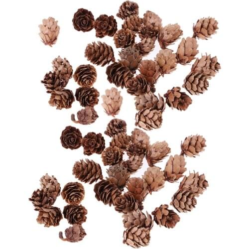 60 Pieces Mini Decorative Pinecone Pine Cones Pinecone For Vase Bowl Filler Displays Crafts Home Decoration