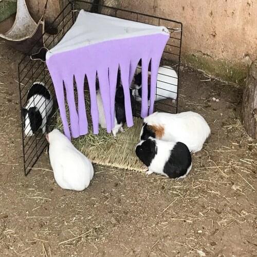 Hamster Hidden Rabbit in The House Beds and Houses Hiding Tent Cage Rabbit Guinea Pig Small Animal Little Pet House Pets Tent