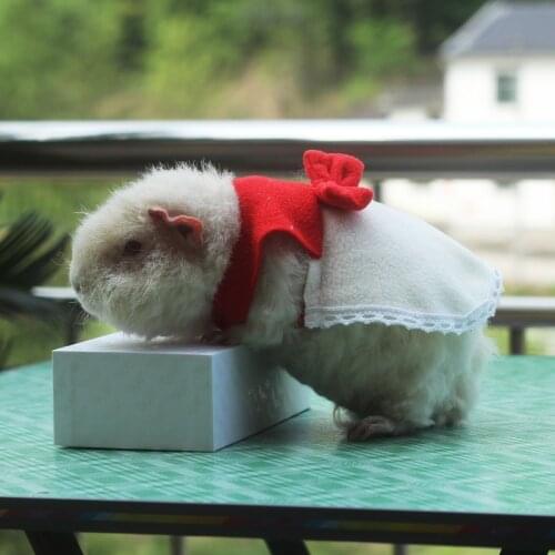 Hamster clothes Dutch pig clothes devil squirrels dress small pet skirt small pet shooting props clothing