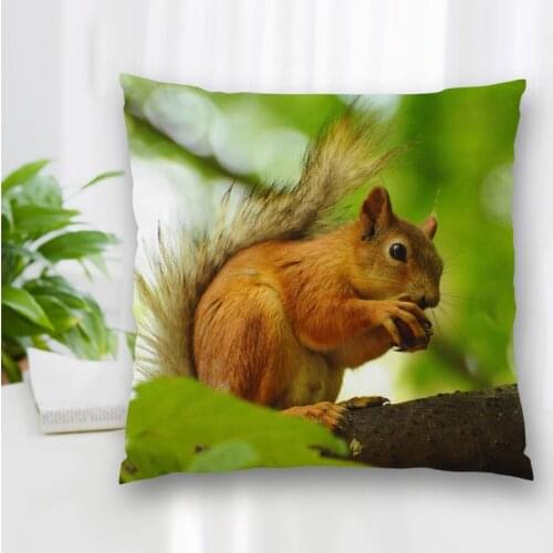 Custom Animal Squirrel Pillowcase With Zipper Bedroom Home Office Decorative Pillow Sofa Pillowcase Cushions Pillow Cover