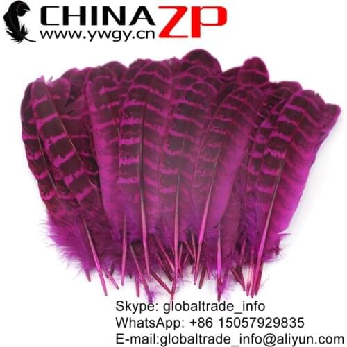 Yiwu ZP Crafts Co., Ltd 100pcs/lot Choosed Quality Hot Pink Dyed Ringneck Hen Pheasant Round Quill Wing Feather