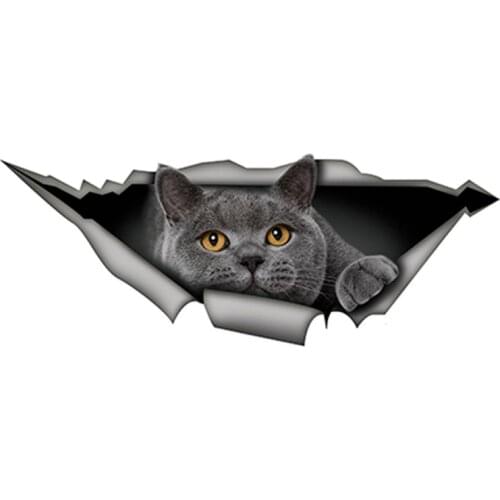 Cartoons Car Sticker British Shorthair Funny Cat Accessories Car Styling Vinyl Motorcycl Decals Cover Scratches PVC,13cm*6cm