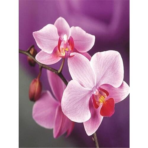 Art Flower DIY 11CT Embroidery Cross Stitch Kits Craft Needlework Set Cotton Thread Printed Canvas Home Decoration Wholesale