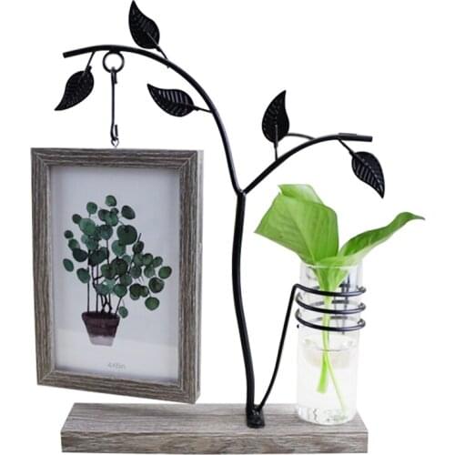 Features With Hydroponic 6 Inch Hanging Double-Sided Photo Frame Creative Personality Decorative Table Crafts Ornaments