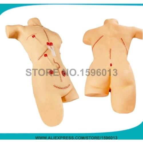 Full-Functional Surgical Skills Training Manikin Wound Care Suturing and Bandaging Model