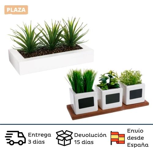 Table center and set of herbs in pots (basil, parsley and chives) of plastic with ceramic pots
