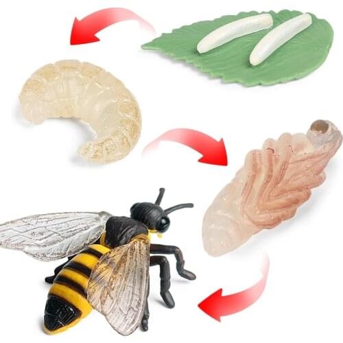 4Pcs/Set Insect Animals Model Simulation Bee Growth Cycle Action Figures Figures Miniature Educational Toy for Children Gifts