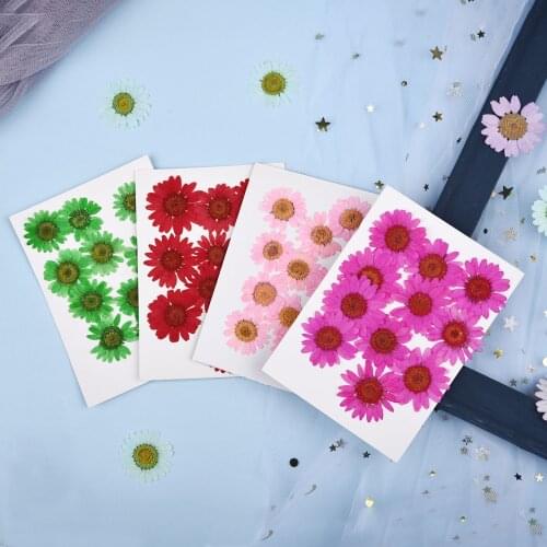 1 Bag Dried Flowers DIY Resin Filling For Crystal Epoxy Resin Mold Pressed Flower Natural Chrysanthemum Jewelry Pendant Making
