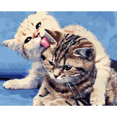 Olieverfschilderij Van Nummers Bloem Op Canvas Set Decor Voor Color By Number Cat Handgeschilderd Gift 40X50cmMulticolor