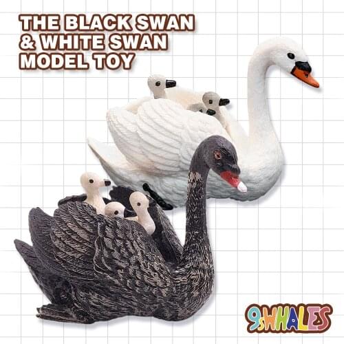 Children Adult Educational Toy Simulation Animals PVC Black and White Swan Model toy Popular Science Scene decoration Gift