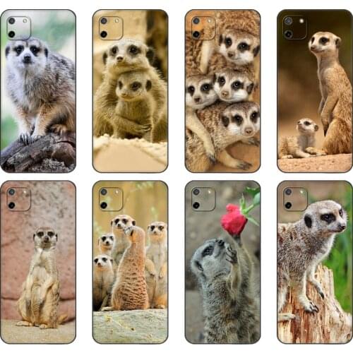 Black tpu Case For OPPO Realme C11 C20 C21 Case Back Cover animal mob of meerkats