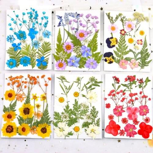 2021 New Natura Dried Flowers Stickers Dry Beauty Plants Decal For Candle Epoxy Resin Pendant Necklace Jewelry Making Craft