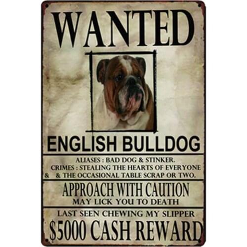 [ Kelly66] Dog English Bulldog Wanied Metal Sign Tin Poster Home Decor Bar Wall Art Painting 20*30 CM Size y-2100