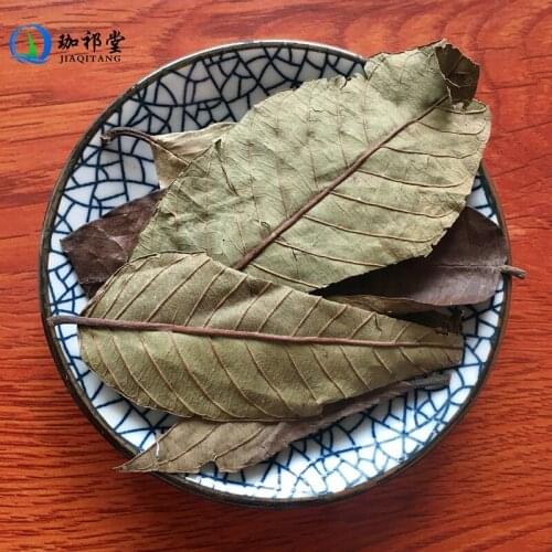 Guava Leaf Immature Fruit of Guava Psidium Guajava Fan Shi Liu Ye