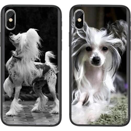 New Style Dog Of Breed Chinese Crested Soft TPU Phone Cover Bags For Apple iPhone 5 5C 5S SE SE2020 6 6S 7 8 11 12 Mini Plus