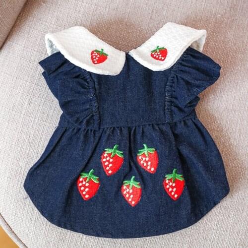 Dog Denim Skirt Autumn Winter Pet Dog Clothes Princess Dress Cat Yorkshire Pomeranian Shih Tzu maltese Poodle Clothing Outfit