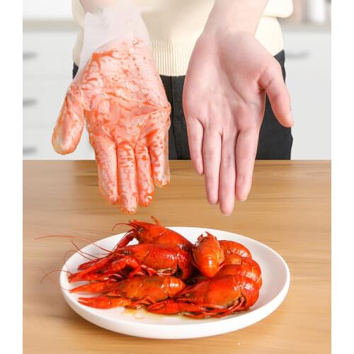 GIEMZA Disposable Gloves