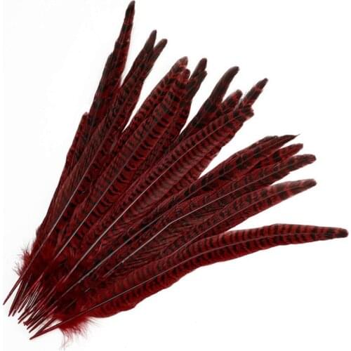 Beautiful Female Pheasant Tails Feathers diy feathers for jewelry making Hair Hats Crafts Home Wedding Decoration plumas 25-35cm