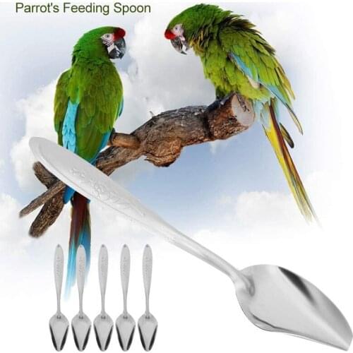 3Pcs Bird Parrot Feeding Spoon Fledgling Baby Bird Feeding Spoon Water Milk Food Feeder Stainless Steel Spoons Birds Supplies