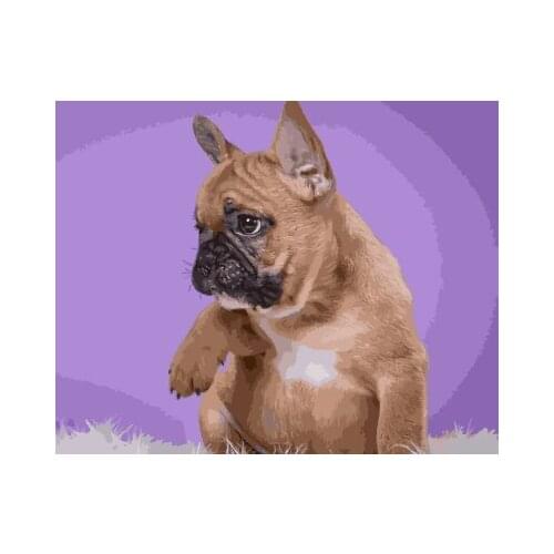 PAINTBOY Framed Pictures DIY Painting By Numbers of Animal Handwork Canvas Oil Painting Home Decor For Living Room