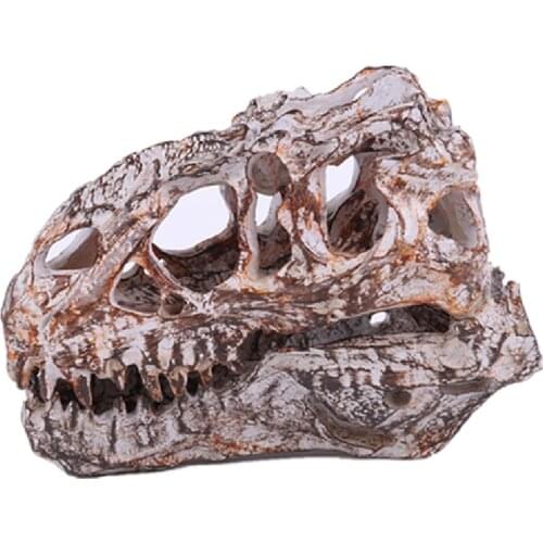 Tyrannosaurus dinosaur model teaching specimen Halloween props science resin skull