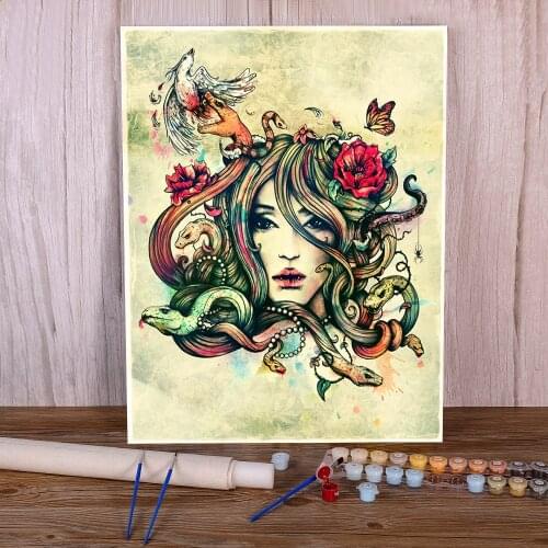 Unknown Beauty Before Death Paint By Numbers Package Oil Paints 40*50 Picture By Numbers Photo Decorative Paintings For Art